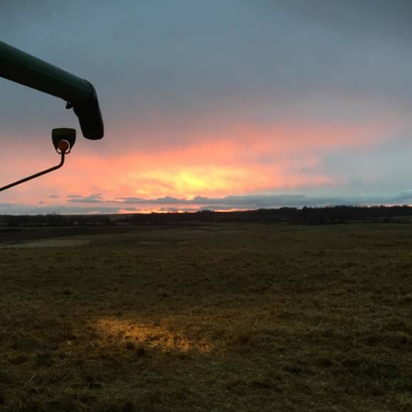 Meet your Posher, Treena - Picture 1 of 1